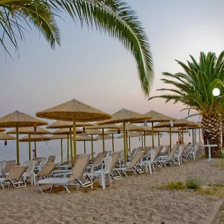 Horizontas * Nea Plagia